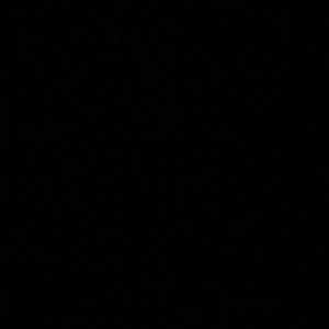 Meet your Posher, Cesar